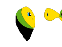 Calon butterfly