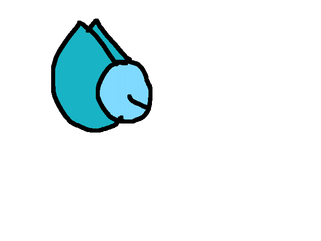 Spin