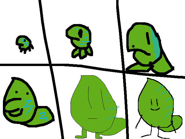 Process of drawing Leafy the platipus