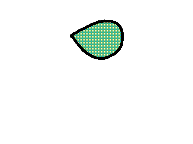 The amazing animation