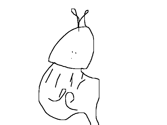 Снiкна Sinкна
