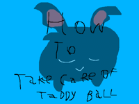 How to:take care about Taddyball