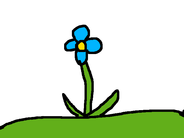 Petal fell from the flower