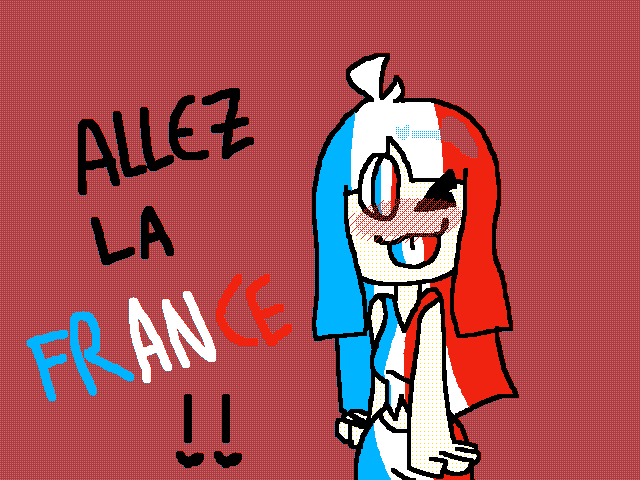 ALLEZ LA FRANCE !!!!