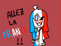 ALLEZ LA FRANCE !!!!