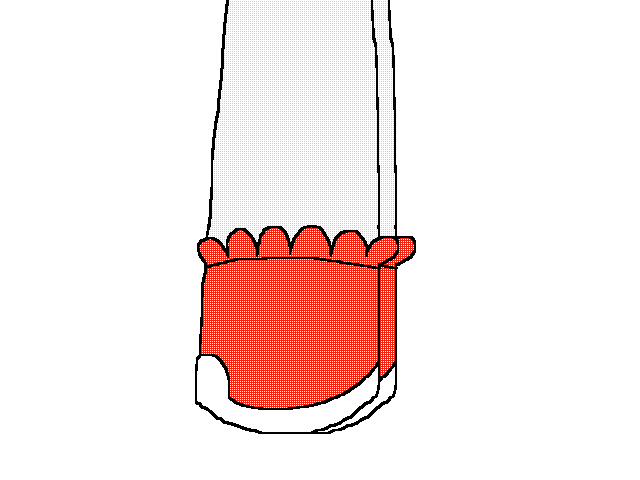Lazy walk animation