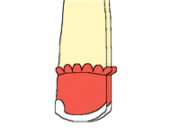 Lazy walk animation