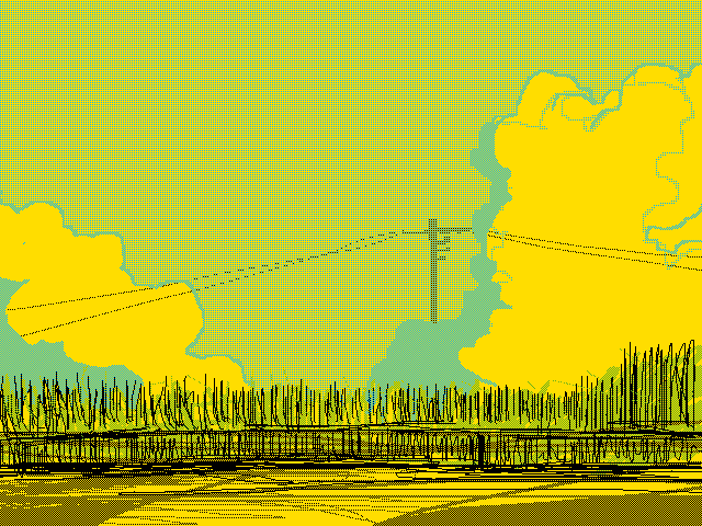 Sugarcane field