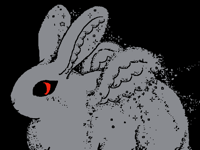 red-eyed rabbit