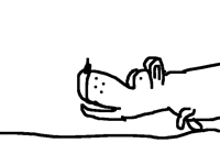 If you like the dog follow me.