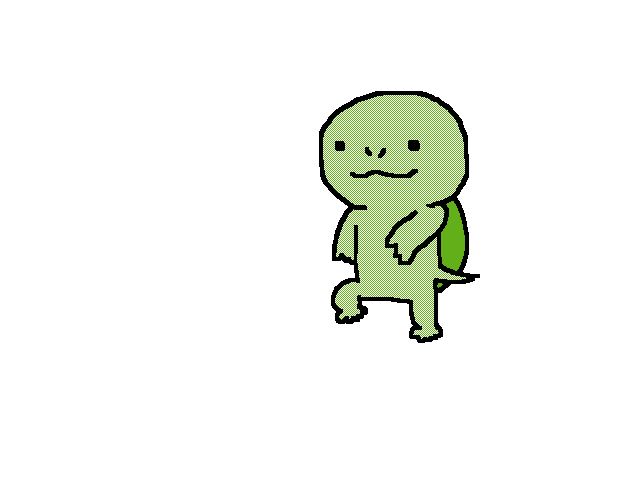 亀の日常