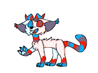 Bicolor cat