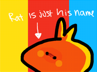 interesting rat facts