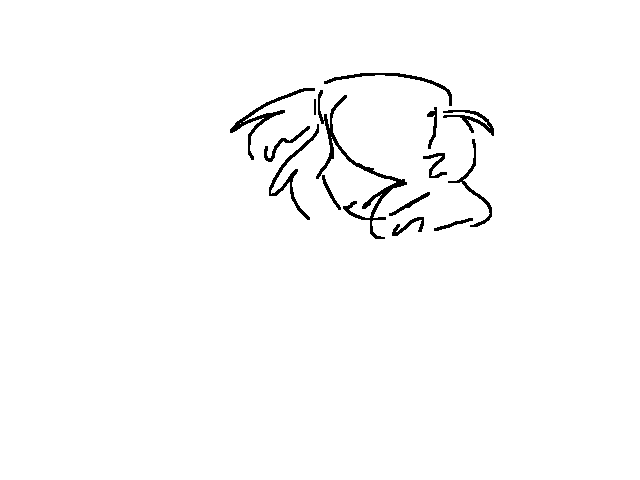 Animation tests