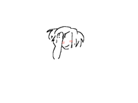 Animation tests