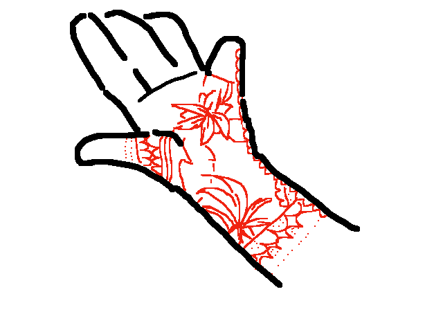 My auntie did henna on my hand :)))