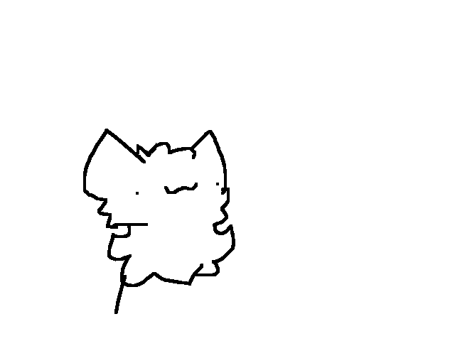 Random anim
