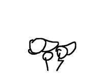 Teste jump