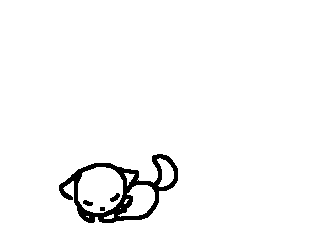 Little cat
