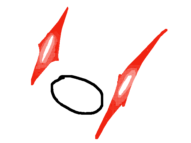 a Cat Whenever I say spspspspsp be like: