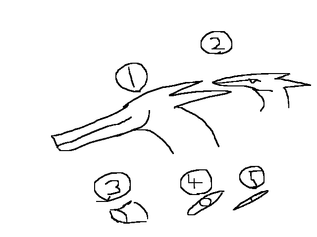 What Style Should I use?