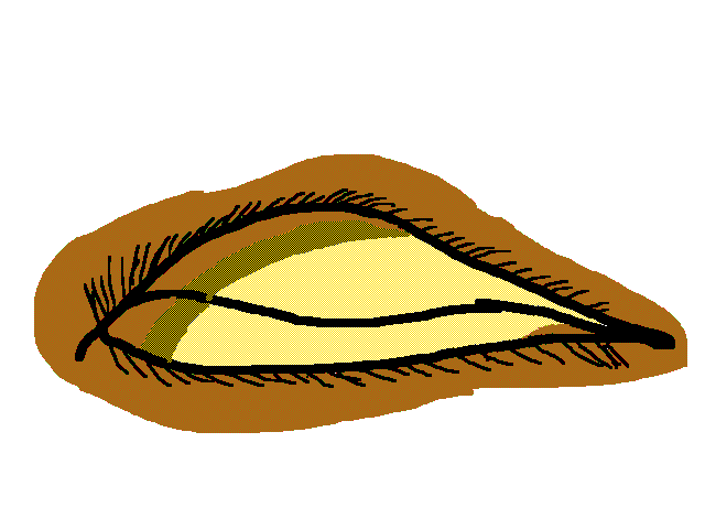 I’m Bad At Drawing Eyes