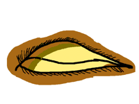 I’m Bad At Drawing Eyes