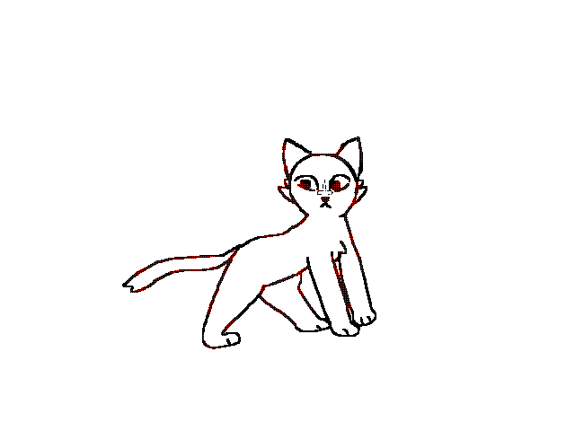 Catto boi