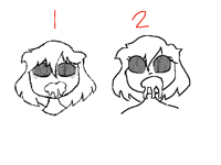 Which one is better?