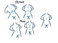 Body study practice stuff—