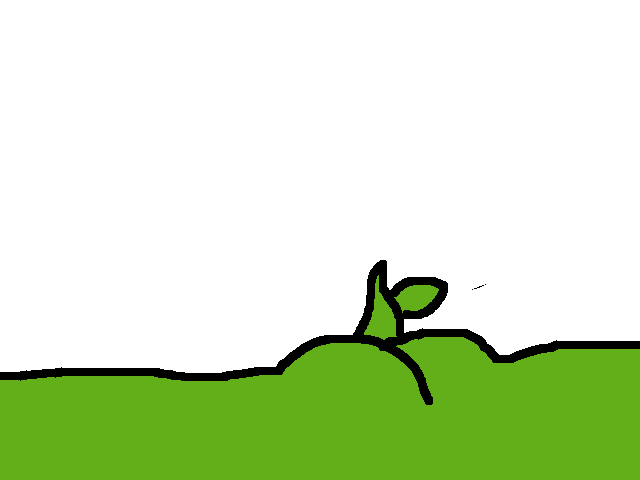 La Piantina piange
