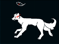 Wolf run -finish-