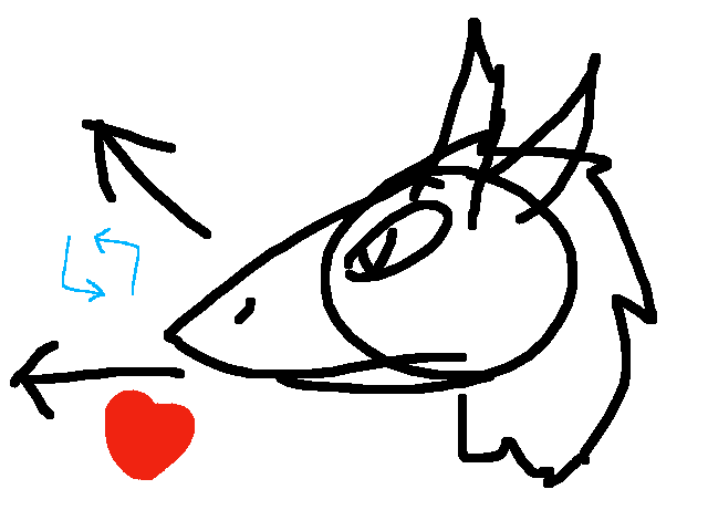 What way does it look like it's looking?