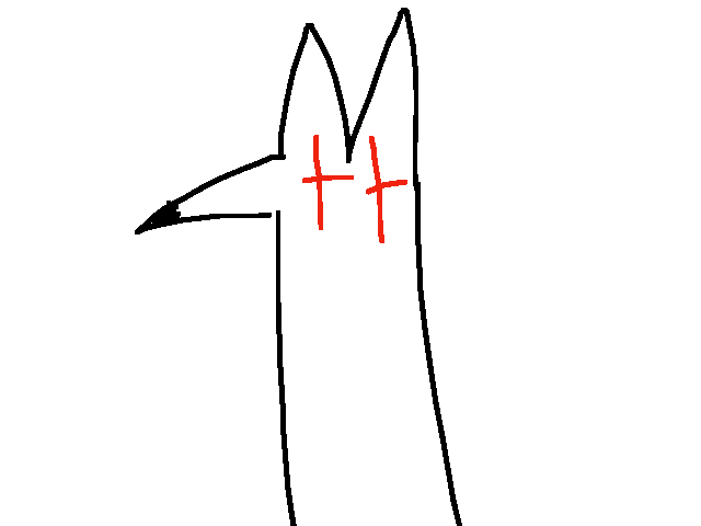 EVERY POST IS WITH COM ALT FOXES