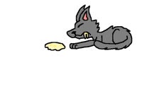 My cat just threw up