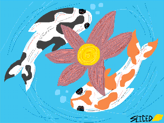 Koi koi koi koi koi koi
