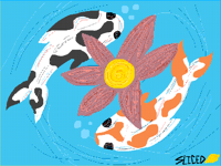 Koi koi koi koi koi koi