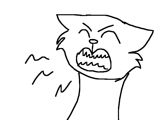 My cats meowing and doesn’t shut up