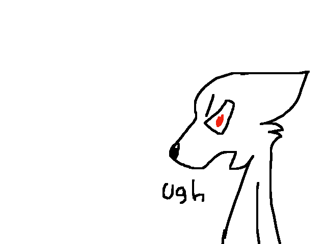 I lost two followers