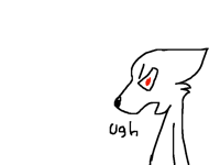 I lost two followers