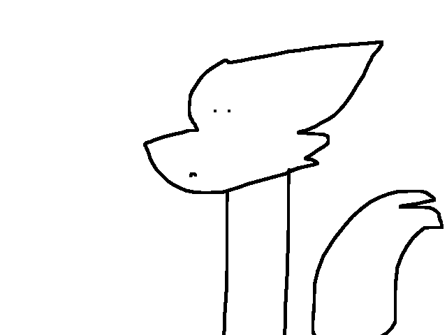 Am I losing followers?