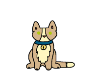 Catty cat kitty kit kit