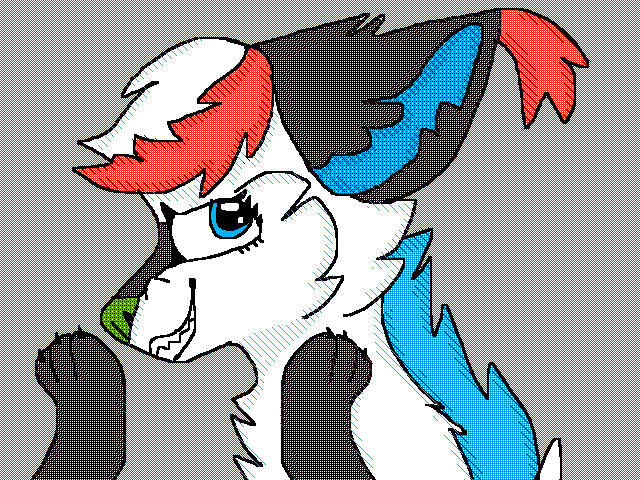 Follow this floof ball NOW