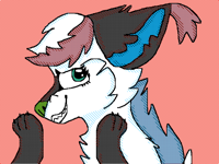 Follow this floof ball NOW