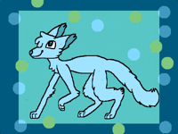 170 Follower Special!!!!