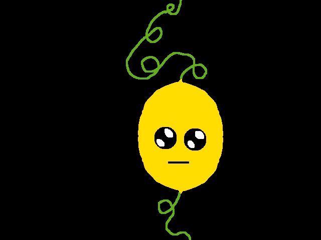 Little lemon