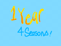 1 year, 4 seasons