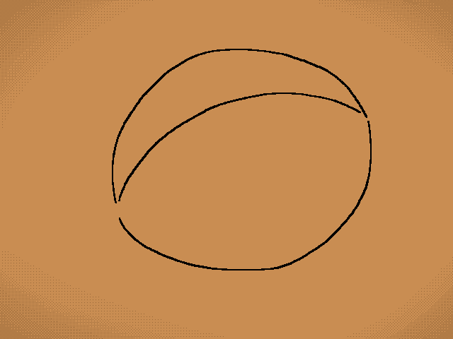 Unfinished project (UCMP 37302)