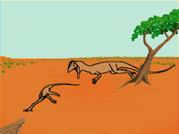 Unfinished project (UCMP 37302)