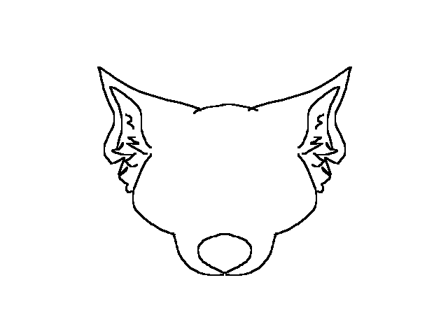 Color it and draw face